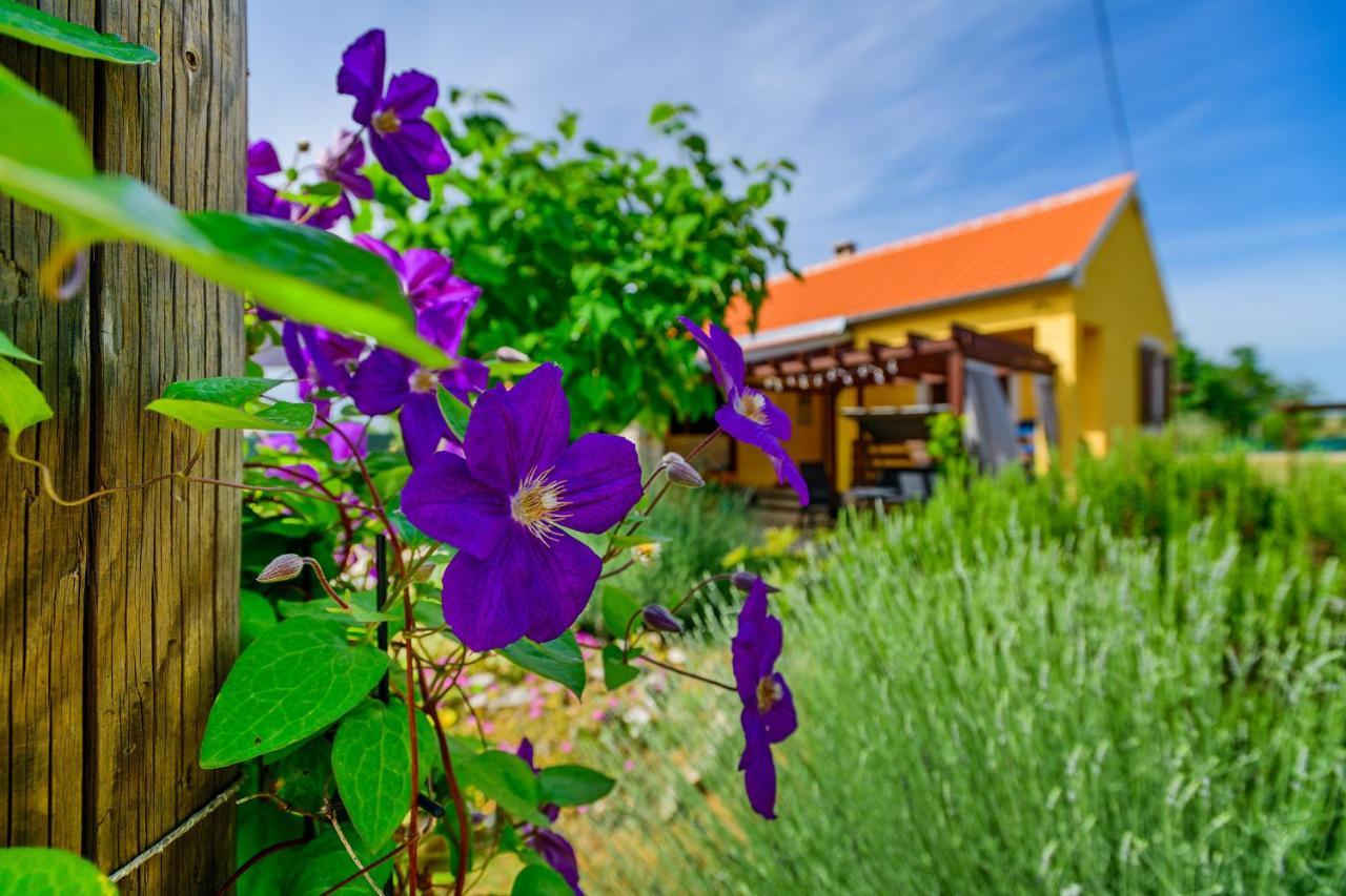 Вилла Sunny House Smokovic Экстерьер фото