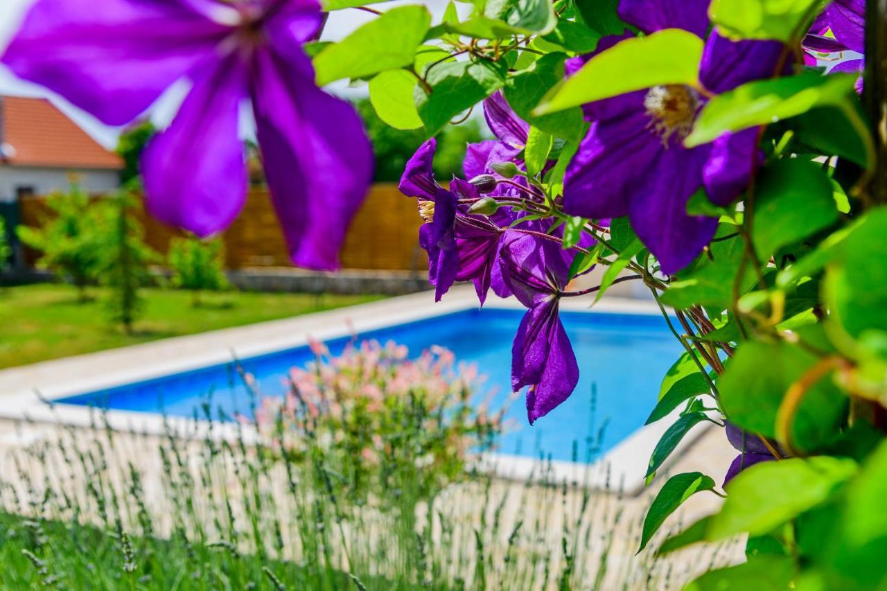 Вилла Sunny House Smokovic Экстерьер фото